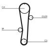 CONTINENTAL CTAM Zahnriemensatz CT942K1