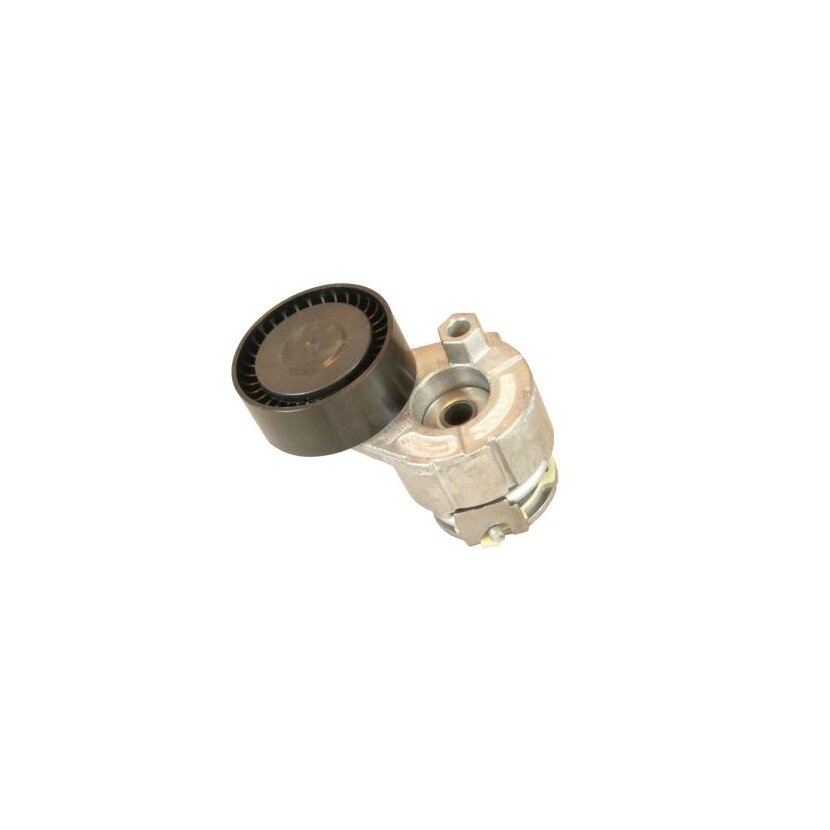 CONTINENTAL CTAM Spannrolle, Keilrippenriemen V85596 für 117509654R