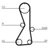 CONTINENTAL CTAM Zahnriemen CT1016 für MD329639