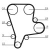 CONTINENTAL CTAM Zahnriemen CT1122 für 243124X000