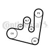 CONTINENTAL CTAM Keilrippenriemensatz 6PK1660K2