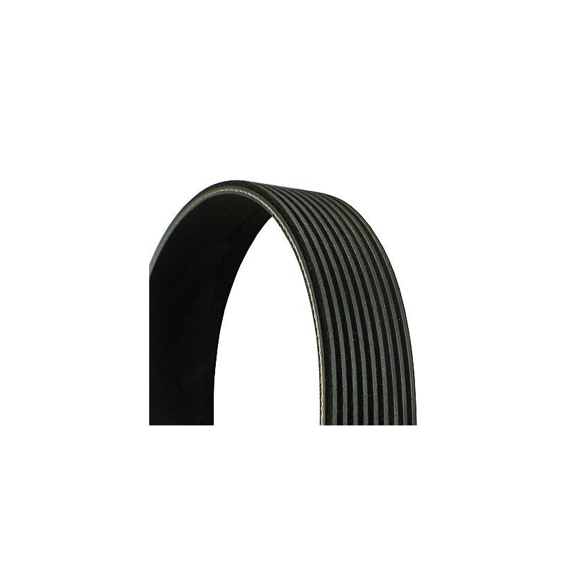 CONTINENTAL CTAM Keilrippenriemen 9PK2295 für 0149976892