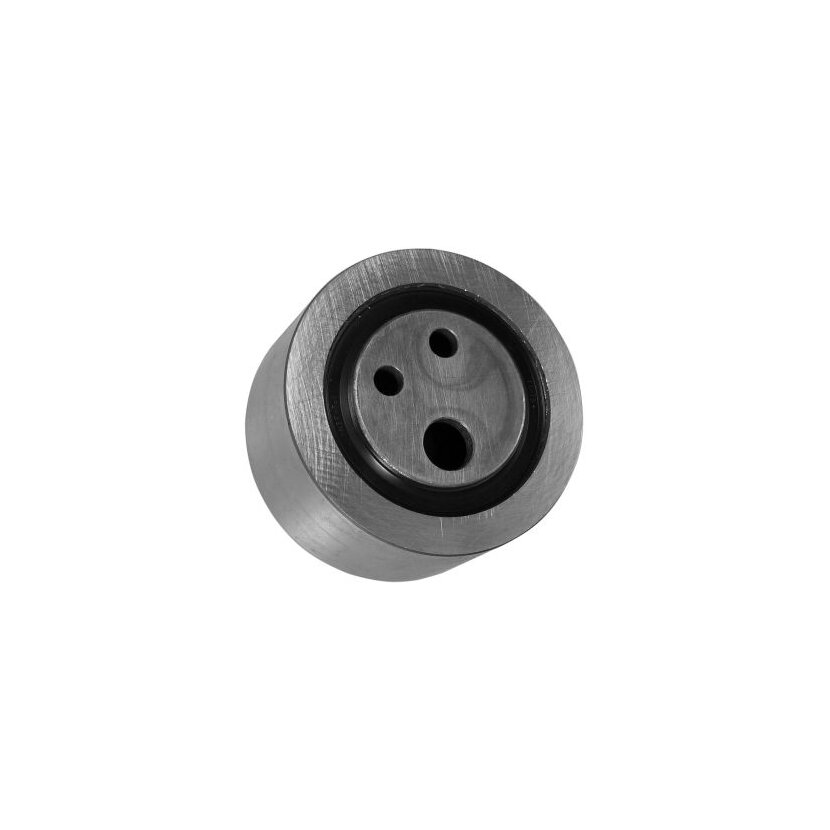 CONTINENTAL CTAM Spannrolle, Zahnriemen V55808 für 5966001