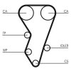 CONTINENTAL CTAM Zahnriemensatz CT864K1 für 0831.29