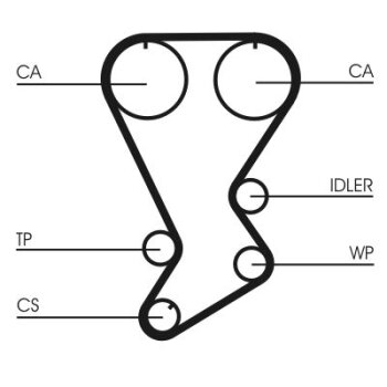 CONTINENTAL CTAM Zahnriemen CT812 für MD176389