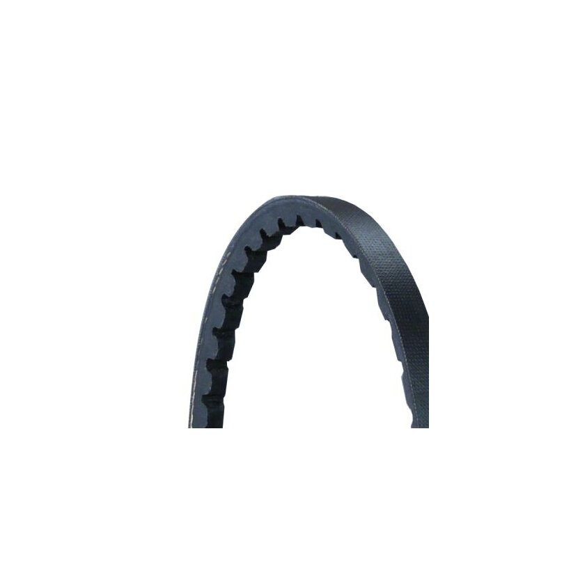 CONTINENTAL CTAM Keilriemen AVX10X960 für 7203068