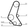 CONTINENTAL CTAM Zahnriemen CT748 für 636352