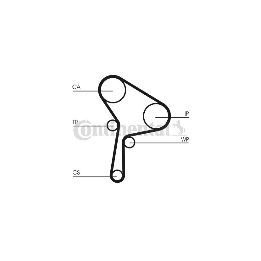 CONTINENTAL CTAM Wasserpumpe + Zahnriemensatz CT1150WP1 für 119A09639R