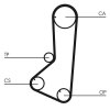 CONTINENTAL CTAM Zahnriemen CT801 für MD068173