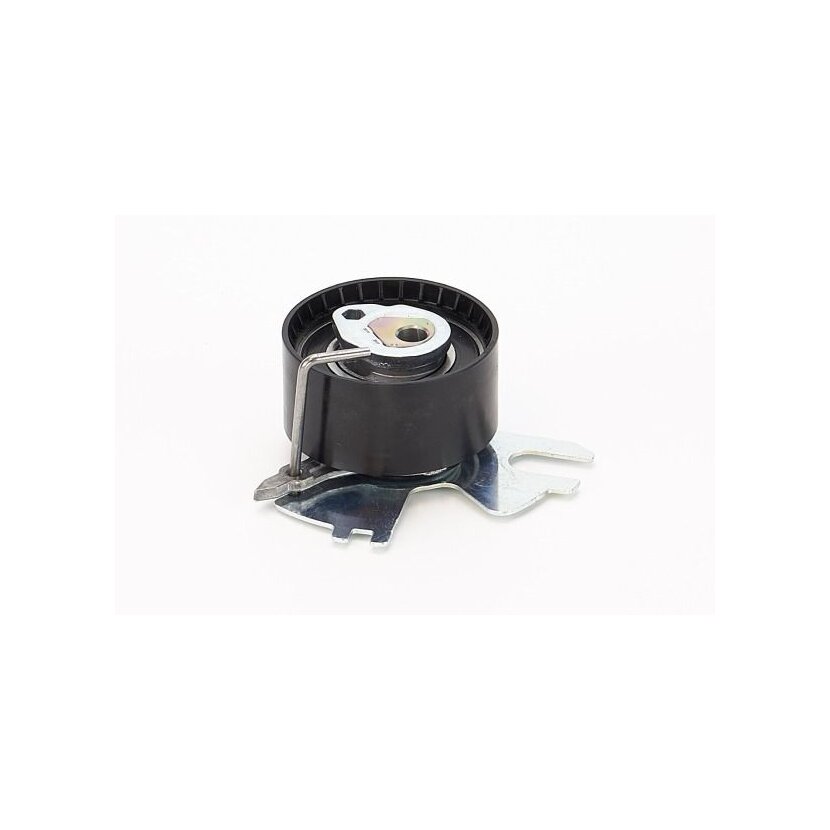 CONTINENTAL CTAM Spannrolle, Zahnriemen V55973 für 0829A3