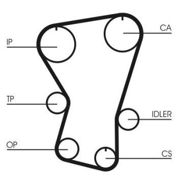 CONTINENTAL CTAM Zahnriemen CT677 für 5952779