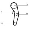 CONTINENTAL CTAM Zahnriemen CT1053 für MD314456