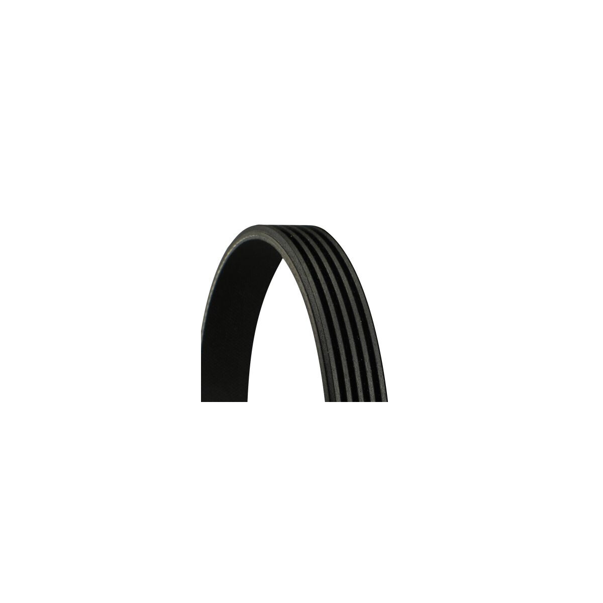 CONTINENTAL CTAM Keilrippenriemen 5PK1236 ELAST - 5PK1236ELAST für 2521203000