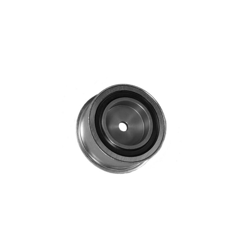 CONTINENTAL CTAM Umlenk-/Führungsrolle, Zahnriemen V55304 für 636423