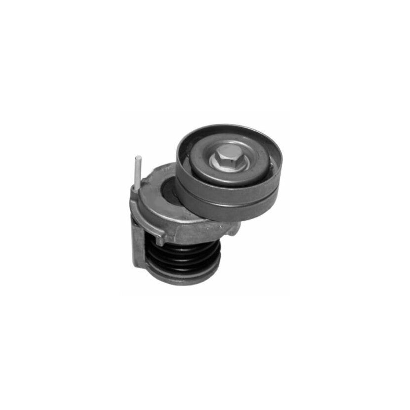 CONTINENTAL CTAM Spannrolle, Keilrippenriemen V85600 für 03C145299AC