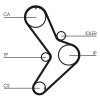 CONTINENTAL CTAM Zahnriemensatz CT731K1 für 7701471769