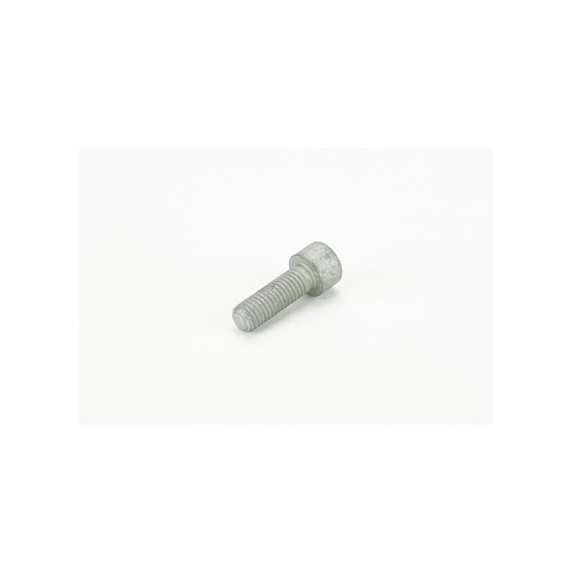 CONTINENTAL CTAM Schraube V41095 für N0147236