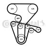 CONTINENTAL CTAM Wasserpumpe + Zahnriemensatz CT877WP3PRO