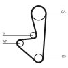CONTINENTAL CTAM Zahnriemensatz CT607K1 für 083103