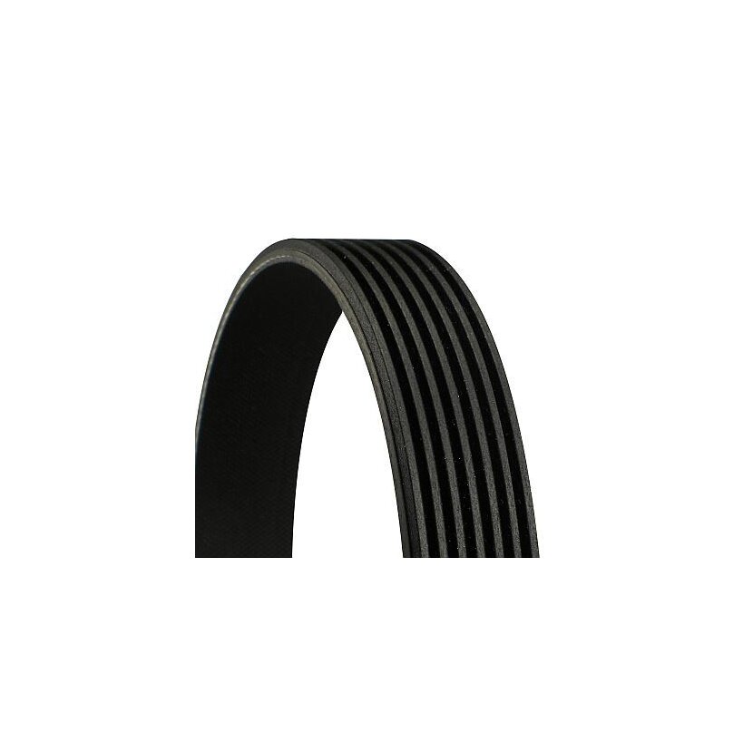 CONTINENTAL CTAM Keilrippenriemen 7PK1675 für 6000616600