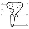 CONTINENTAL CTAM Wasserpumpe + Zahnriemensatz CT1149WP1 für 71771578