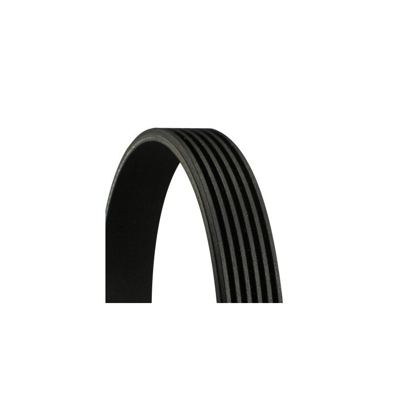 CONTINENTAL CTAM Keilrippenriemen 6PK1710 für 1612162880