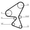 CONTINENTAL CTAM Zahnriemensatz CT1063K1 für 1610743280