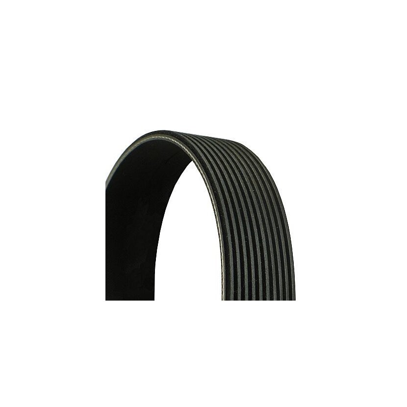 CONTINENTAL CTAM Keilrippenriemen 10PK1590 für 0019935896