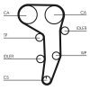 CONTINENTAL CTAM Zahnriemensatz CT1051K1 für 03G198119
