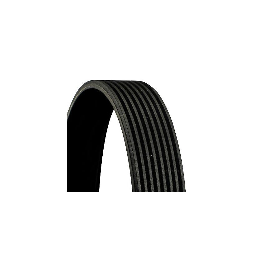 CONTINENTAL CTAM Keilrippenriemen 8PK1875 für 51.96820.0324