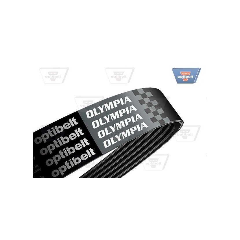 OPTIBELT Keilrippenriemen 6 PK 1073 OLYMPIA - 6PK1073OLYMPIA für 9805463680