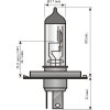 SPAHN GLÜHLAMPEN Glühlampe, Fernscheinwerfer 54194