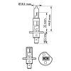 PHILIPS Glühlampe, Fernscheinwerfer 12258VPS2 für 0230106-7