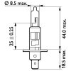 PHILIPS Glühlampe, Fernscheinwerfer 13258MDB1 für 0230107-5