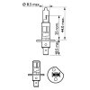 PHILIPS Glühlampe, Fernscheinwerfer 12258SPC1 für 0230106-7