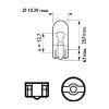 PHILIPS Glühlampe, Blinkleuchte 12961EDCP für 12-97700611