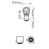 PHILIPS Glühlampe, Blinkleuchte 12496LLECOCP für 300.6119