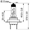 PHILIPS Glühlampe, Fernscheinwerfer 13972MDBVB1 für 0233303-7