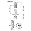 PHILIPS Glühlampe, Fernscheinwerfer 12258WVUB1 für 0230106-7