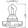 ams-OSRAM Glühlampe, Blinkleuchte 5201
