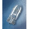 ams-OSRAM Glühlampe, Blinkleuchte 2821-02B - 282102B