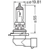 ams-OSRAM Glühlampe, Fernscheinwerfer 9006NL-HCB - 9006NLHCB