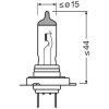 ams-OSRAM Glühlampe, Fernscheinwerfer 64210CLC