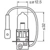 ams-OSRAM Glühlampe, Fernscheinwerfer 64151CBI-HCB - 64151CBIHCB
