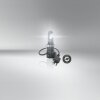 ams-OSRAM Glühlampe, Fernscheinwerfer 64193DWNB-FB - 64193DWNBFB