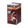 ams-OSRAM Glühlampe, Fernscheinwerfer 64216TSP