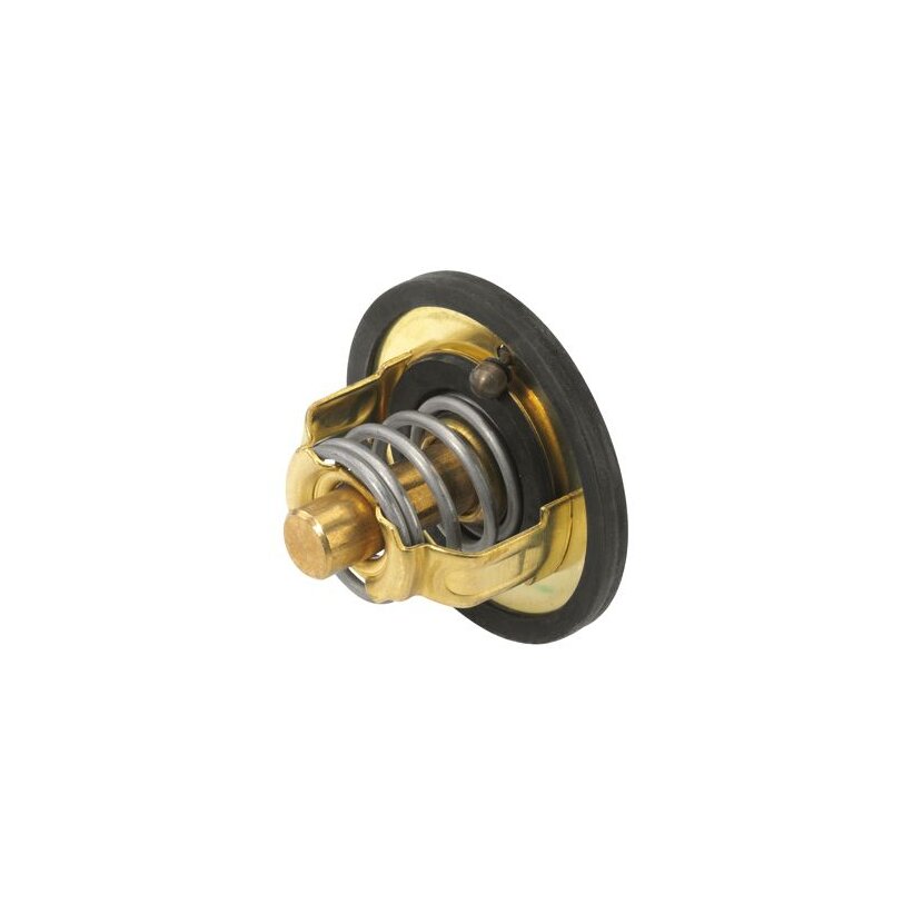 WAHLER Thermostat, Kühlmittel 3116.89D - 311689D