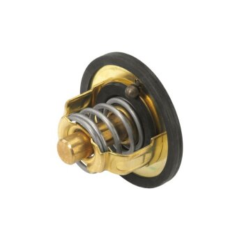 WAHLER Thermostat, Kühlmittel 3116.89D - 311689D