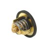 WAHLER Thermostat, Kühlmittel 3116.89D - 311689D