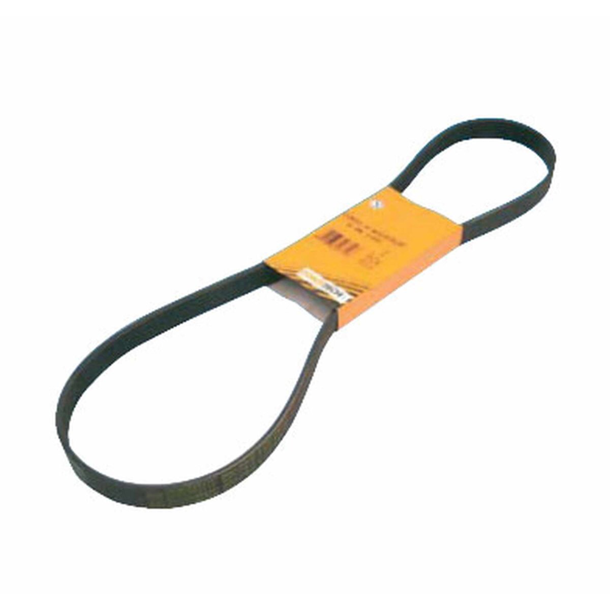 DAYCO Keilrippenriemen - 8 PK 880 - 8PK880